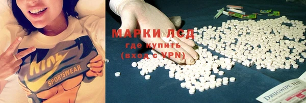 амф Зеленокумск