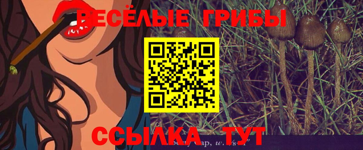 Галлюциногенные грибы мицелий  Балашиха 