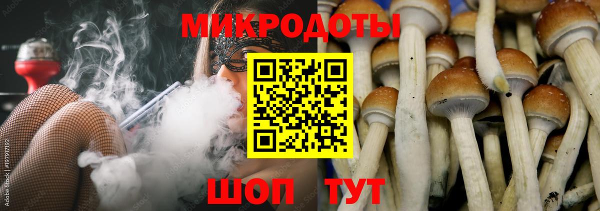 Балашиха  Псилоцибиновые грибы Psilocybine cubensis  Вход с VPN  Псилоцибиновые грибы ЛСД 